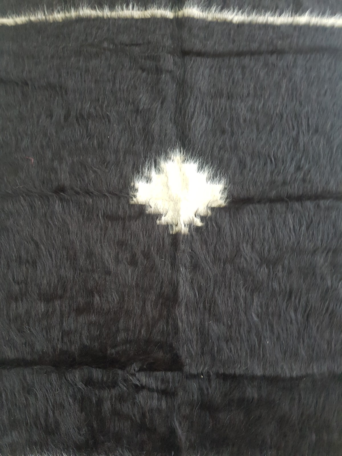 Bild 8 von 12