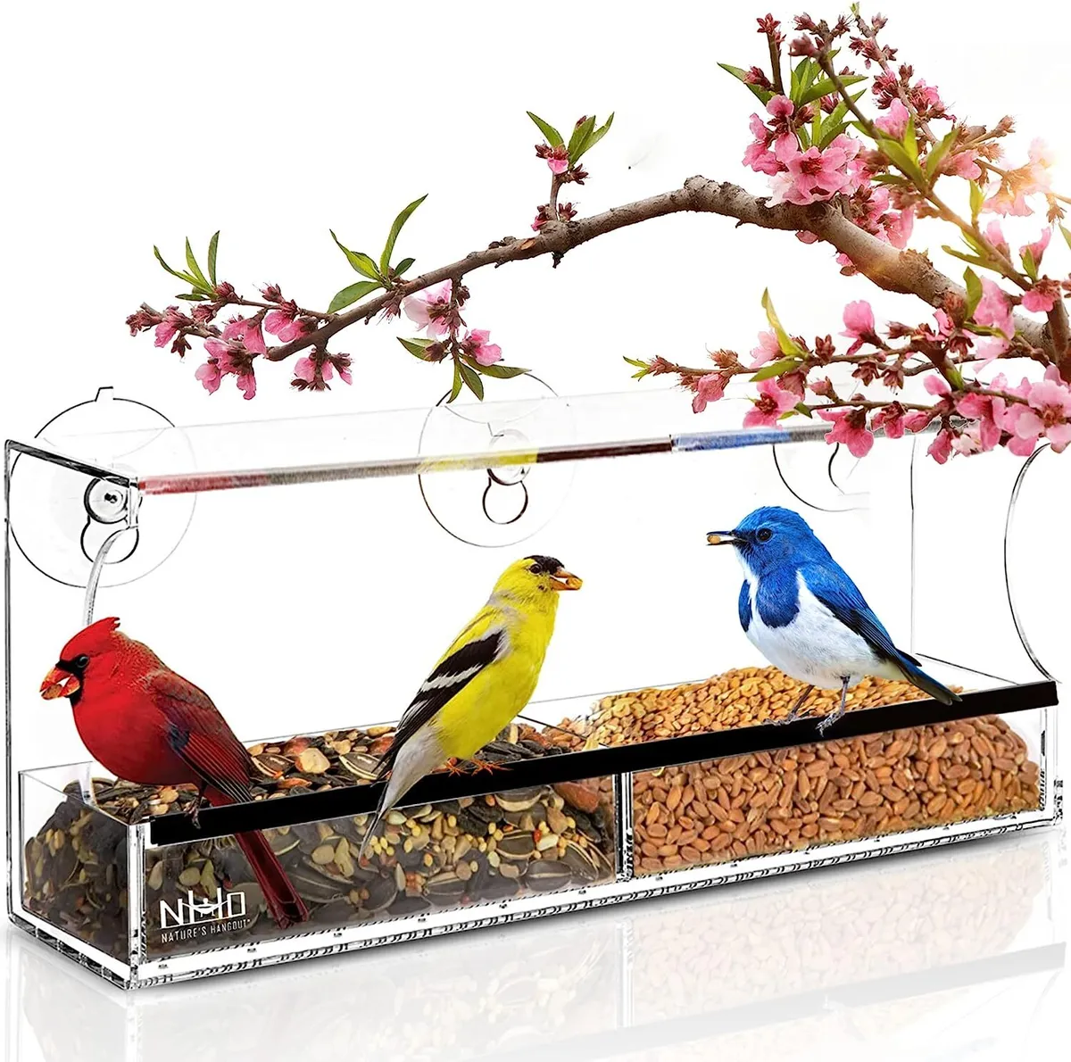 Window Bird Feeders with Strong Suction Cups Clear Window Bird Feeder for  Outsid