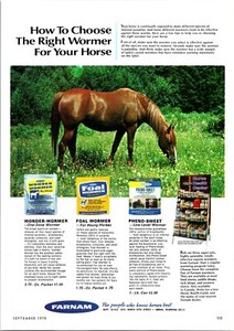 Farnam Wormer Vintage Print Ad Ephemera Wall Decor