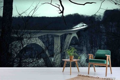 3D Forest Bridge Landscape Wall Murals Wallpaper Murals Wall Sticker