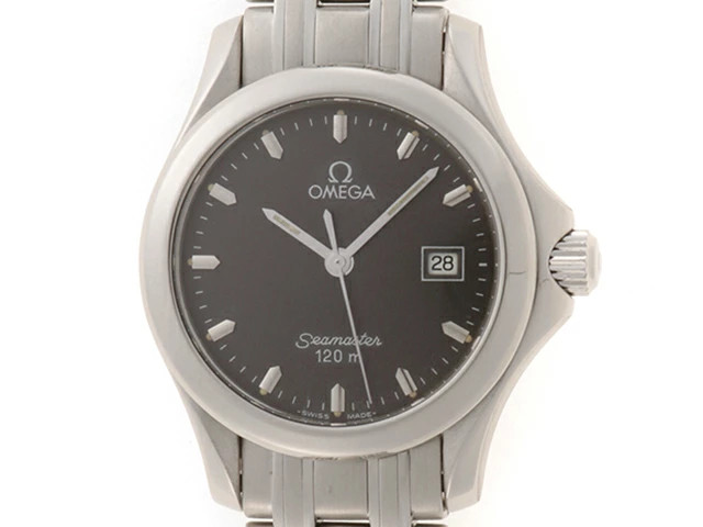 Omega Seamaster Stainless Steel #DW858