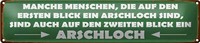 Blechschild Spruch 46X10Cm Manche Menschen Arschloch Dekoration
