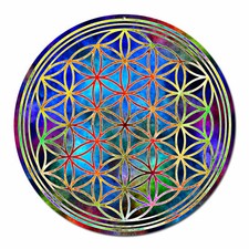 Acchiappa-Sole Fiore Vita Immagini per Finestre Lebensblume Idea Regalo Natale