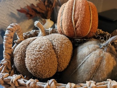 Set Of 3 Neutral Pumpkins With Coordinating Colors