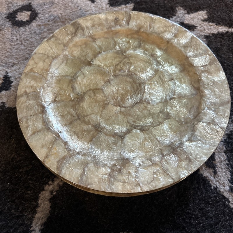 Set Of 7 Gold Shell Placemats 12.5 In