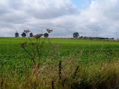 Photo A2 Arable land, hedgerow flowers and wind turbines East Somerton  c2013
