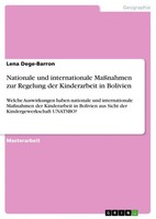 Nationale Und Internationale MaßNahmen Zur Regelung Der Kinderarbeit In Bolivien