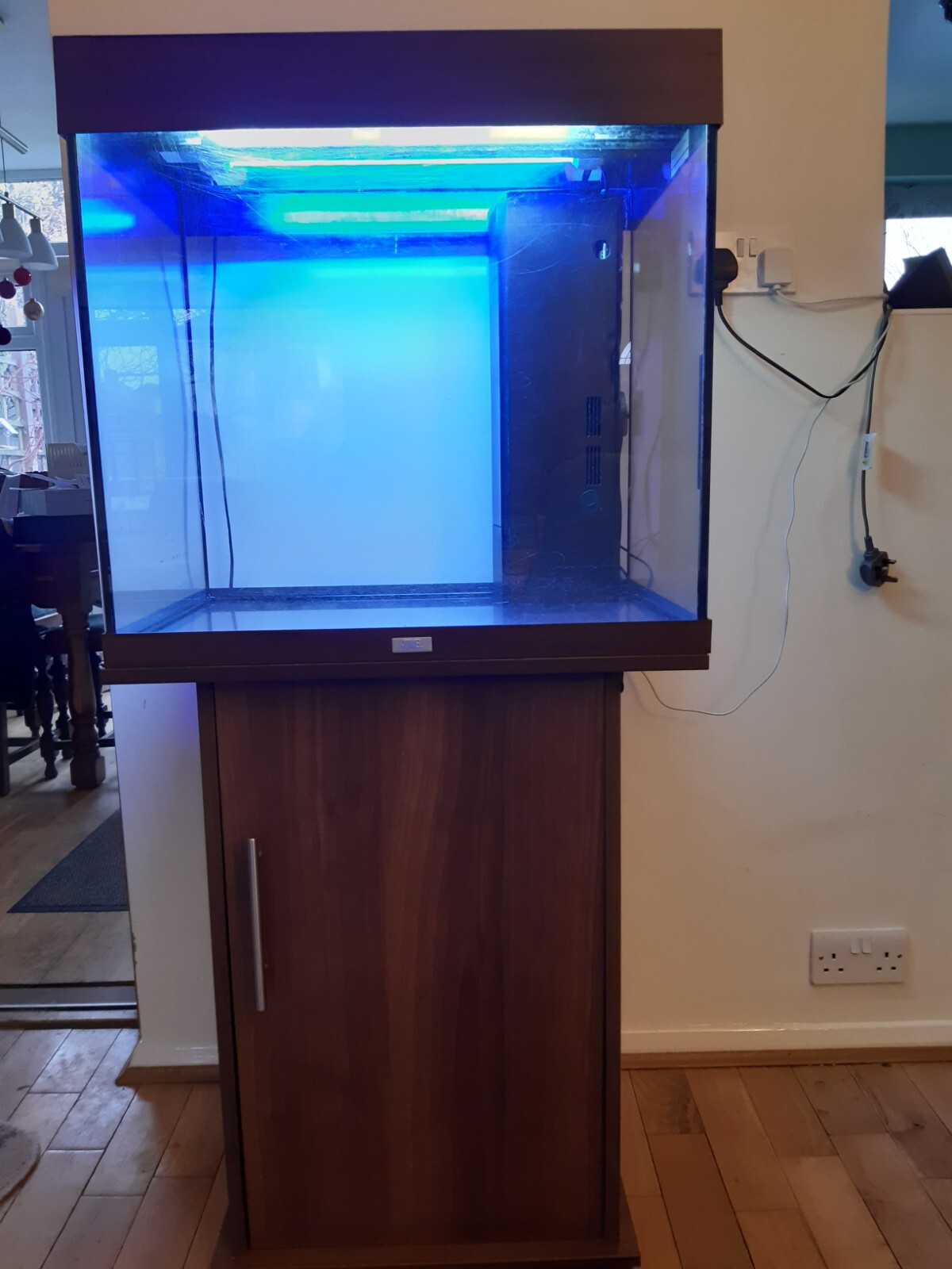 Juwel 120L Cube Aquarium Fish Tank eBay