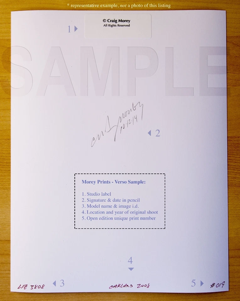 Roxanne 35959.11 Art Model Draped in Chainmail B&W Photo by Craig Morey - Image 3 of 3