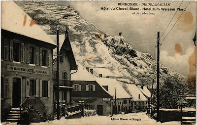 AK AK DIEDOLSHAUSEN BONHOMME Hotel du Cheval-Blanc et le Judenburg (388707)