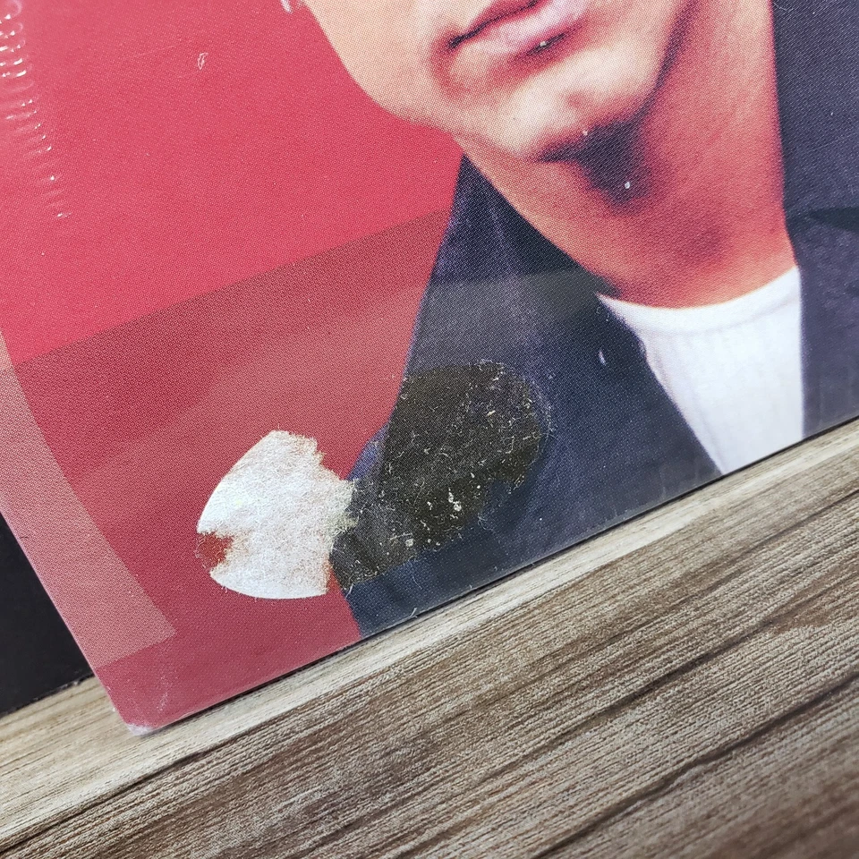 RICKY MARTIN THE INTERVIEW DIGIPAK CD 2002 MSI GERMANY NEW SPOKEN WORD - Image 2 of 4