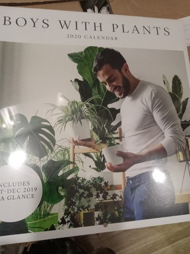 Boys with plants 2020 wall calendar 12×12 - 第 1/2 張圖片