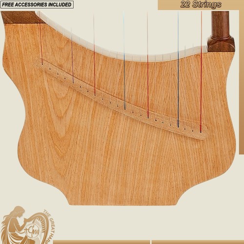 22 String Lute Harp in Rosewood Stunning Ethnic World Musical Instrument New - Picture 2 of 5