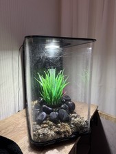 Biorb 30L Fish Tank Ornament Bundle with Light Filter