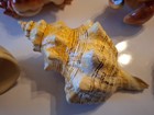 Lot of 5 Resin Shells/Lobster/Crab Coastal Nautical Decorations — photo 4
