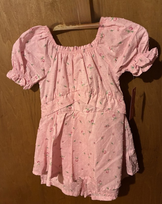 Lemon Kiss Girls Size 6 Pink Floral Smocked Puff Sleeve Fit & Flare Dress short 