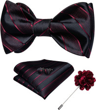 Paisley Bow Ties for Men Silk Self Tied Bowtie and Pocket Square Cufflinks with