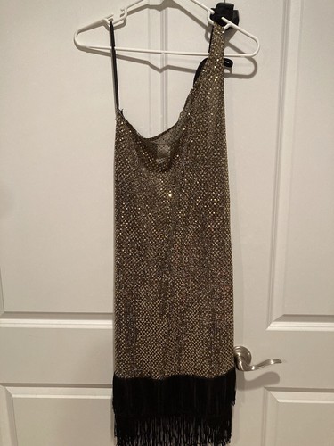 1920s Roaring 20s Charleston Flapper Gatsby Dress Costume Gold w fringe Size 6-8 - Picture 2 of 8