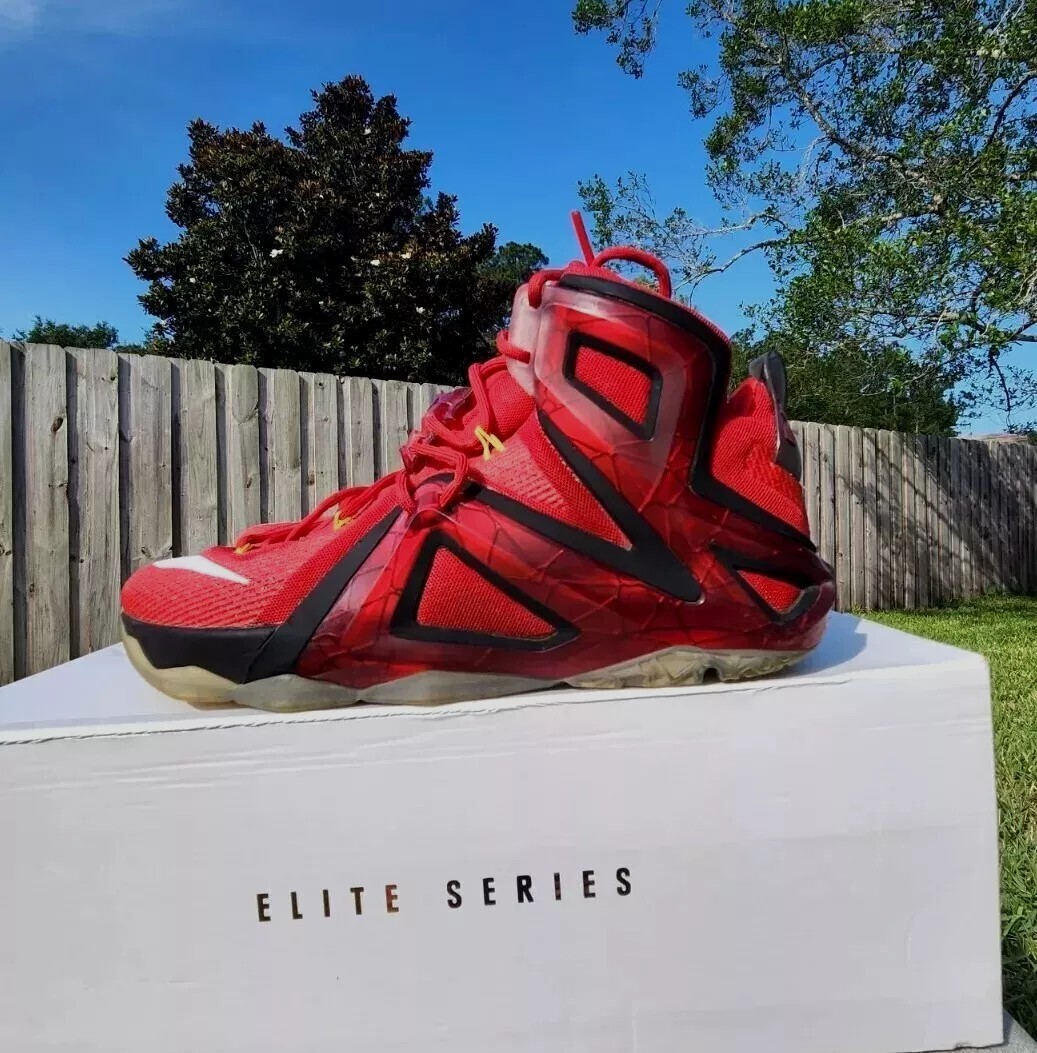 Size 11.5 - Nike LeBron 12 Elite Team 724559-618 | eBay