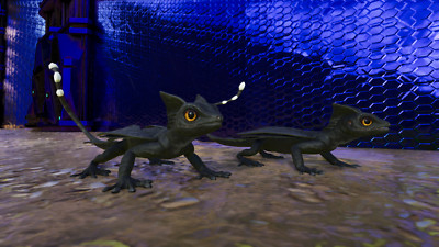  ARK Survival Ascended PvE Top Stats Solid 79 Glowtail PC/XBOX/PS5 ASA