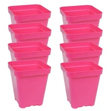 SUNPACK 5" x 5" Seed Starting Square Insert Pot, Magenta, 6" (Pack of 8)