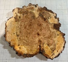 T632 Cherry Burl Live Edge Raw Tree Slice Cookie Birds Eye 10x9x7/8 Eyes