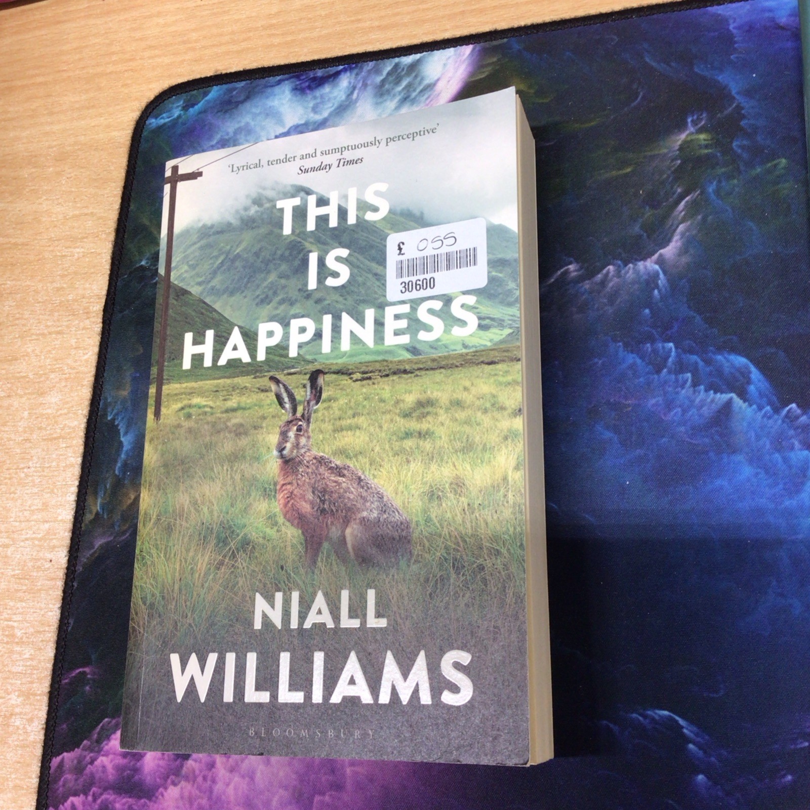 This Is Happiness by Niall Williams (Paperback Book)