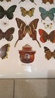 Vintage 1980s Smokey Bear US Forest Service Educational Poster Butterfly Flowers — photo 4