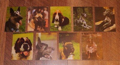 9 Soviet Latvia USSR Russian Pocket Calendars Animals Dogs 1988