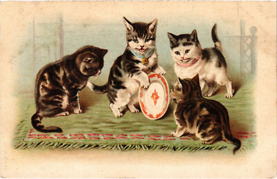 PC KATZEN, VIER KATZEN SPIELEN MIT EINEM TELLER, Vintage LITHO Postkarte (b46607)