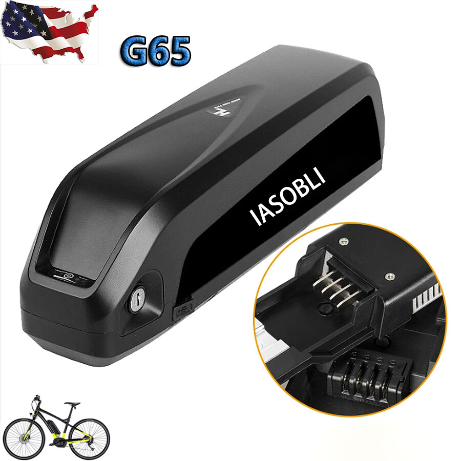 48V 20AH 960W Hailong Battery Electric Bike Battery 48V Ebike