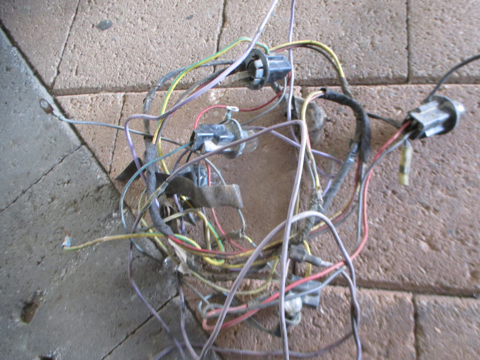 Holden van wagon ute HQ HJ HX HZ WB tail lights looms sockets brake eBay