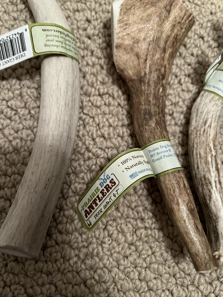 Prairie Dog Pet Products Elk Antler Treat, 6-7inch Deer Giant Bundle of 4, XL - Image 3 of 4