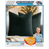 Miulee 2Er Set Samt KissenbezüGe 50X50 Cm DunkelgrüN