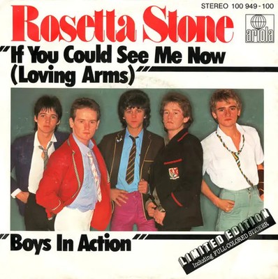 Rosetta Stone If You Could See Me Now (Loving Arms) Vinyl Single 7inch Ariola