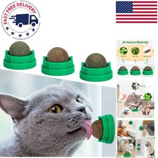 Interactive Catnip Balls for Indoor Cats - Dental Benefits  Flavor Variety