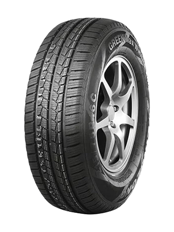 Leao 195/75 R16c 107R/105R Winter Defender Van - Bild 2
