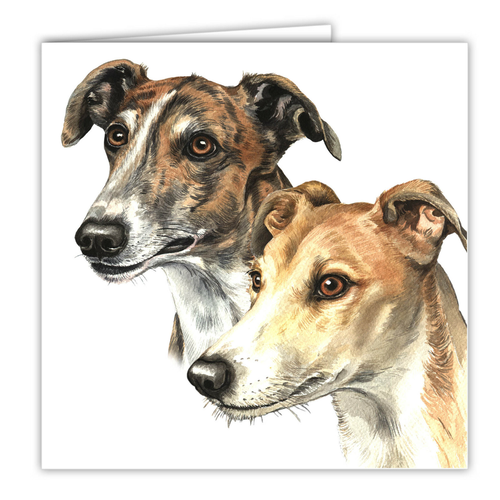 Greyhound pair greetings card dog blank card dogs Greyhounds Waggydogz art cards