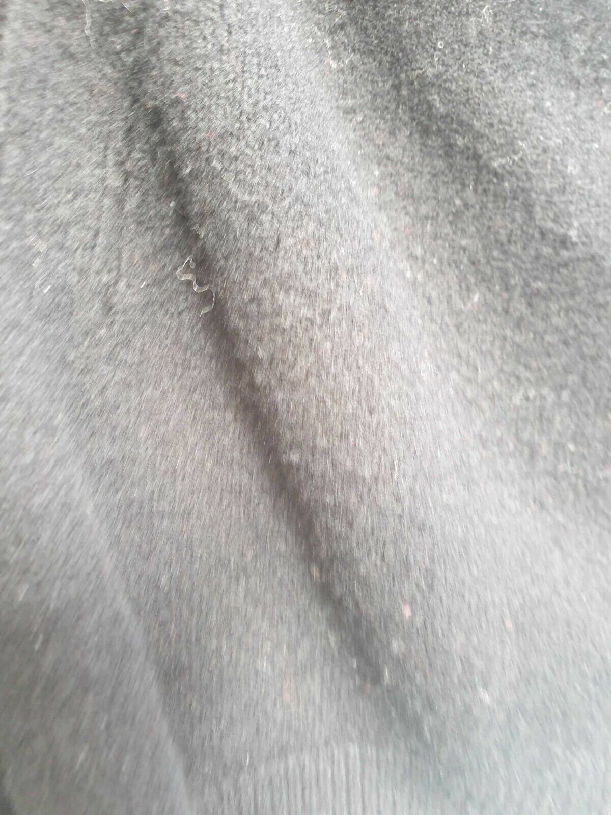 Picture 7 of 7