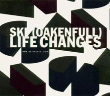 Life Changes von Ski Oakenfull | CD | Zustand akzeptabel