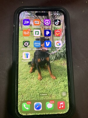 iPhone 14 Pro Max With Tik Tok 
