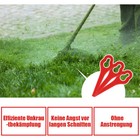 Bild 6 von 21