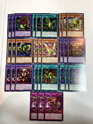 yugioh predaplant deck chimerafflesia predaplant dragostapelia 30 cards D027 yugioh predaplant deck chimerafflesia predaplant dragostapelia 30 cards D027