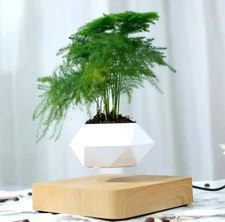 Magnetic Floating Levitating Flower Pot Levitating Decor Home Office Gift White