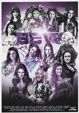 Signed wrestling poster: WWE & AEW stars: Toni Storm, Shotzi, Santana Garrett