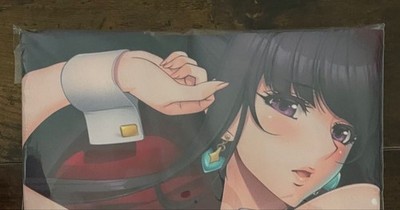 Harem × Shangri-La Tomoe Tajika B2 Tapestry Nagisa Aoi Japan Sexy Game Limited