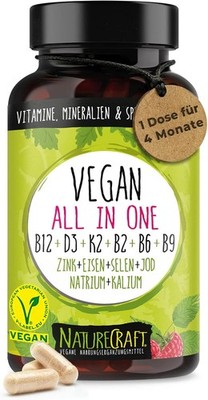 Vegan All in One Vitamin B12+D3+K2+B2+B6+B9 Folsäure Zink Eisen Selen 120 Kapse