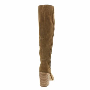 steve madden roxana knee high boot
