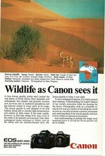 1989 Canon 620 650 Camera Dorcas Gazelle Vintage Print Ad