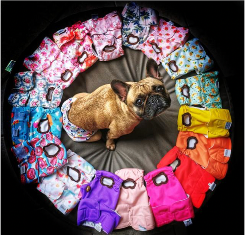 Pack of 3 Reusable Dog Diapers Female Leakproof High Absorbing XS